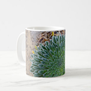 Caneca De Café Planta de deserto do Succulent