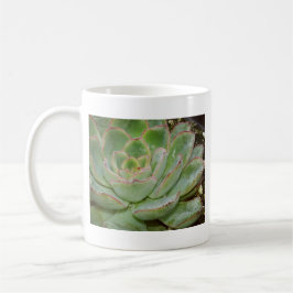 Caneca De Café Planta Suculenta