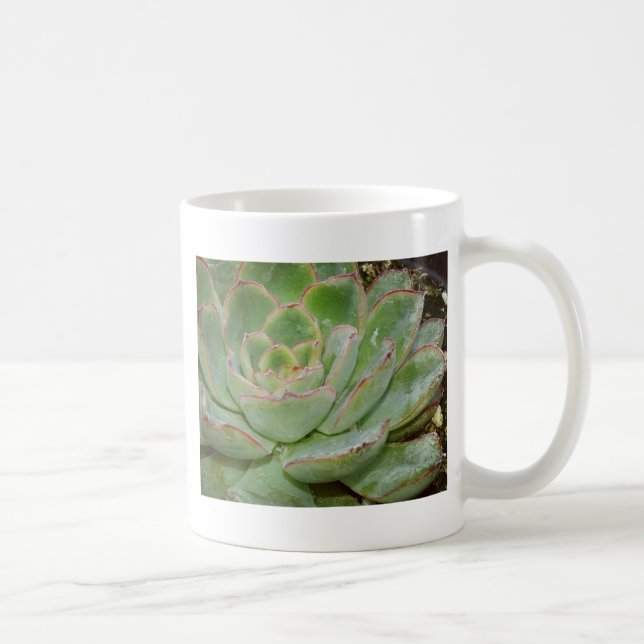 Caneca De Café Planta Suculenta (Direita)