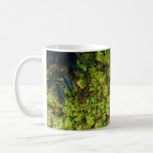 Caneca De Café Plantas de folhas verdes