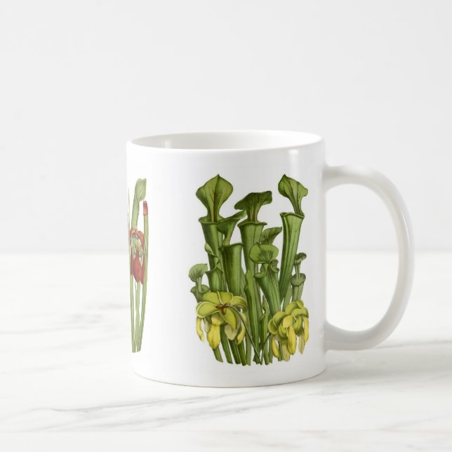 Caneca De Café Plantas de jarro (Direita)