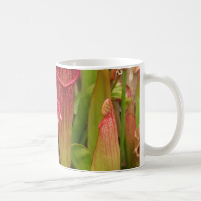 Caneca De Café Plantas de jarro (Direita)