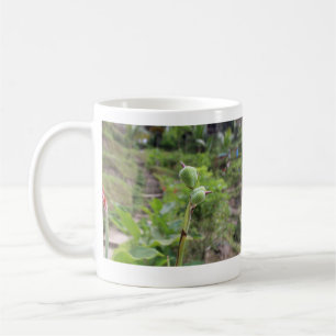 Caneca De Café Plantas naturais fotografia água de praia viagem