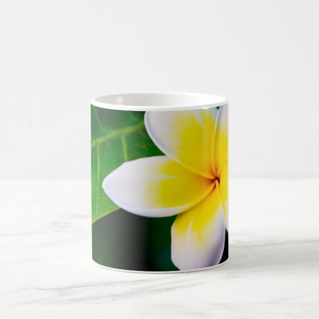 Caneca De Café plumeria (Centro)