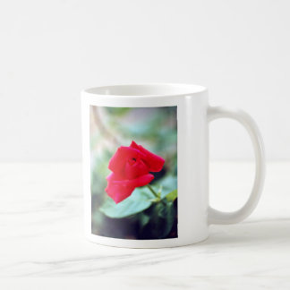Caneca De Café Poema do amor e botão da rosa vermelha