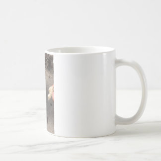 Caneca De Café pombo