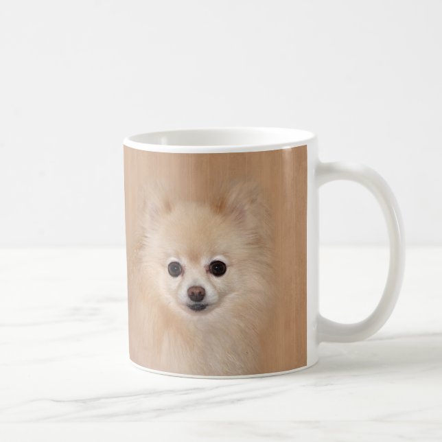 Caneca De Café Pomeranian enfrenta (Direita)