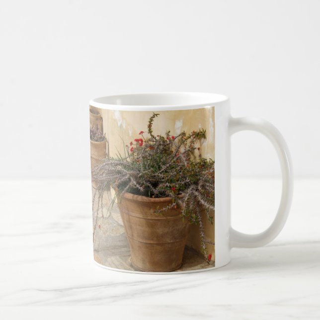 Caneca De Café Potes de plantas de cactos mediterrânicos russos (Direita)