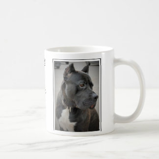 Caneca De Café Presa Canario Cerâmica Mug