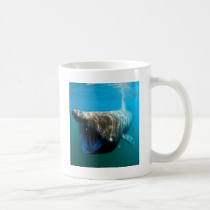 Caneca De Café Presentes De Destino Do Oceano Tropical De Peixes