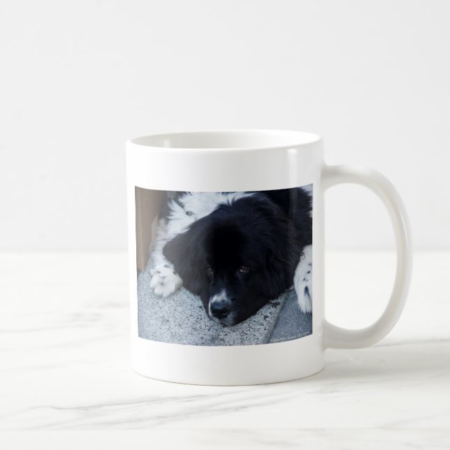 Caneca De Café Presentes preciosos de Landseer Terra Nova (Direita)