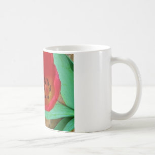 Caneca De Café Primavera amarelo e Red Tulip