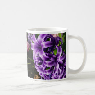 Caneca De Café Primavera azul do jacinto II floral