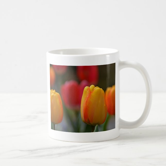 Caneca De Café Primavera em Cores (Direita)