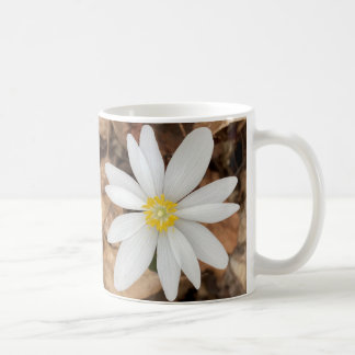 Caneca De Café Primavera White Flower Photo Mug