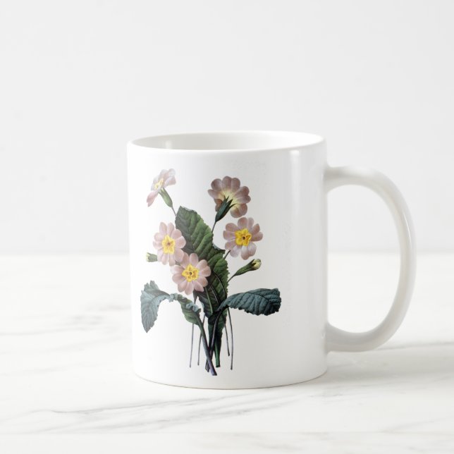 Caneca De Café Prímula (Primula Aucalis) (Direita)