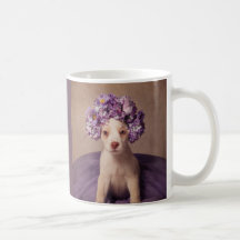 Projeto de animais de estimação do abrigo - Fiona