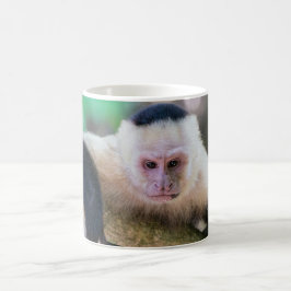 Caneca De Café Pura vida para macaco-prego branco