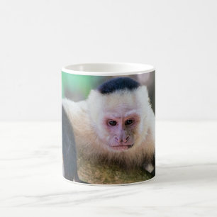 Caneca De Café Pura vida para macaco-prego branco