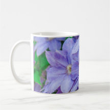 Purple Clematis flower