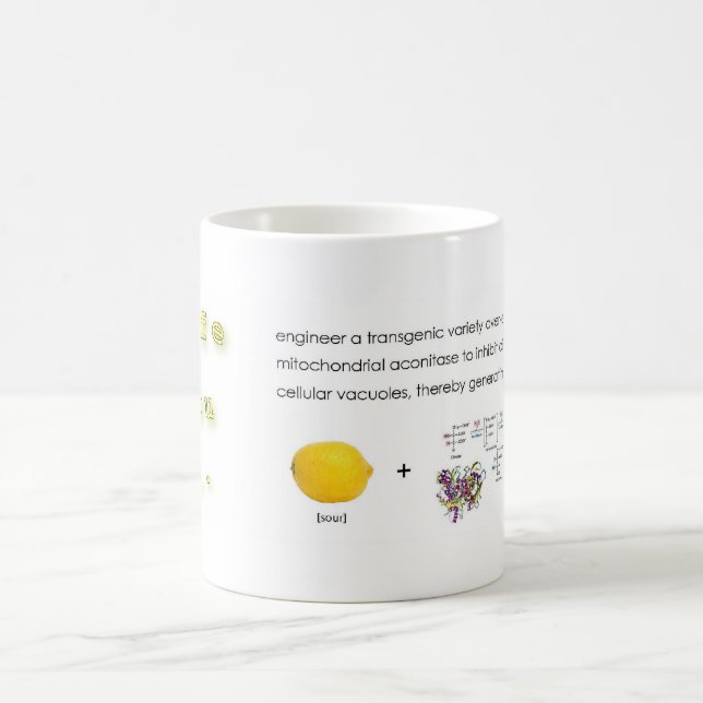 Caneca De Café quando a vida der limões (Centro)