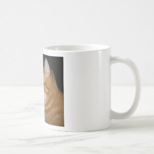 Caneca De Café Que parte do "Meow" você não compreende