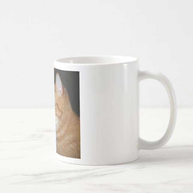 Caneca De Café Que parte do "Meow" você não compreende (Direita)