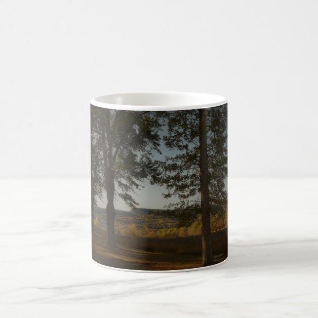 Caneca De Café Queda em New Paltz NY (Centro)