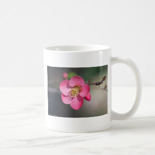 Caneca De Café Quince Rosa Perfeito em Flor