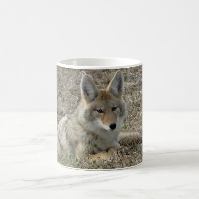 Caneca De Café R22 Coyote Deitado (Centro)