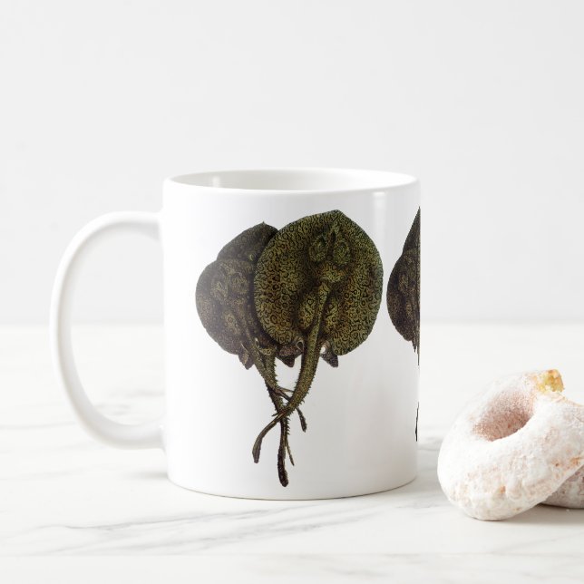 Caneca De Café Raias Stingrays, Animais de Vida Marinha Antigos (Com Donut)