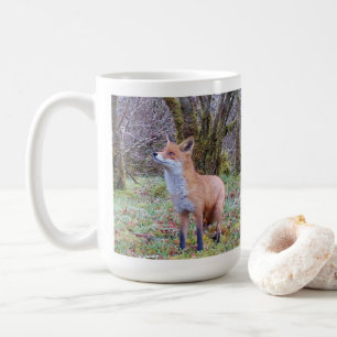Caneca De Café Raposa Vermelha Selvagem em Pé na Paisagem Congela