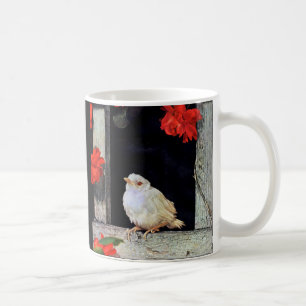 Caneca De Café RARE albino robin