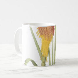 Caneca De Café Red hot poker (Tritoma uvaria) por Redouté