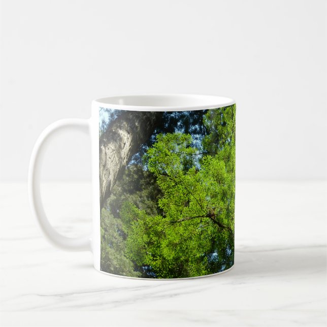 Caneca De Café Redwood Boughs no Parque Nacional de Redwood (Esquerda)