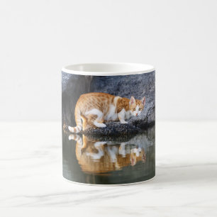 Caneca De Café Reflexão Gato na Foto Engraçada em Água Pond -
