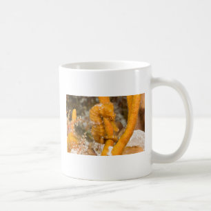 Caneca De Café Reidi do hipocampo - cavalo marinho de Longsnout