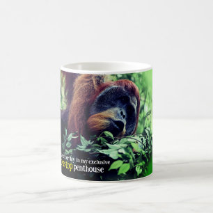 Caneca De Café relaxamento de ovangotango na árvore