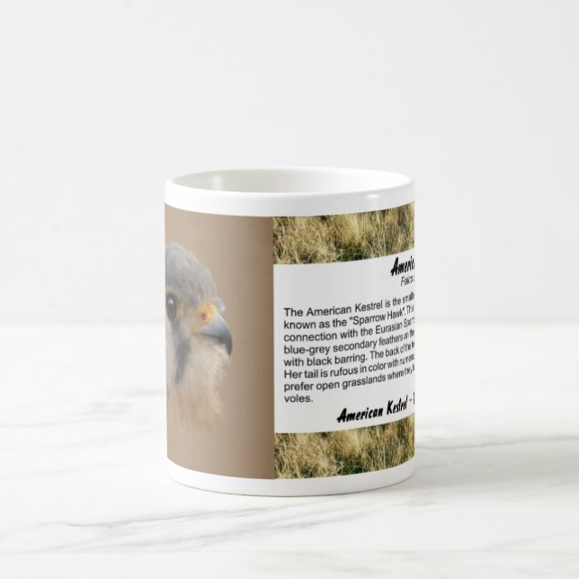 Caneca De Café Retrato Kestrel Americano (Centro)