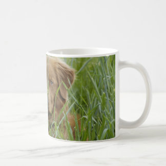 Caneca De Café Retriever anunciando do pato de Nova Escócia