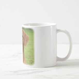 Caneca De Café Rhodesian Ridgeback