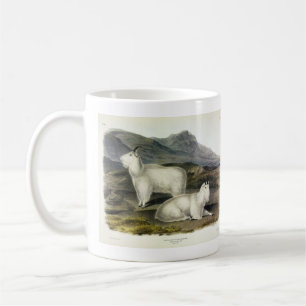 Caneca De Café Rocky Mountain Goat (Americana de Capra por Audubo