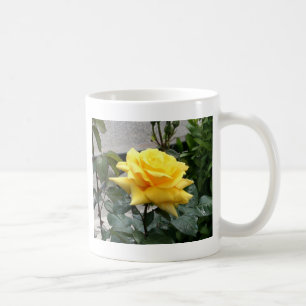Caneca De Café Rosa amarelo de Texas