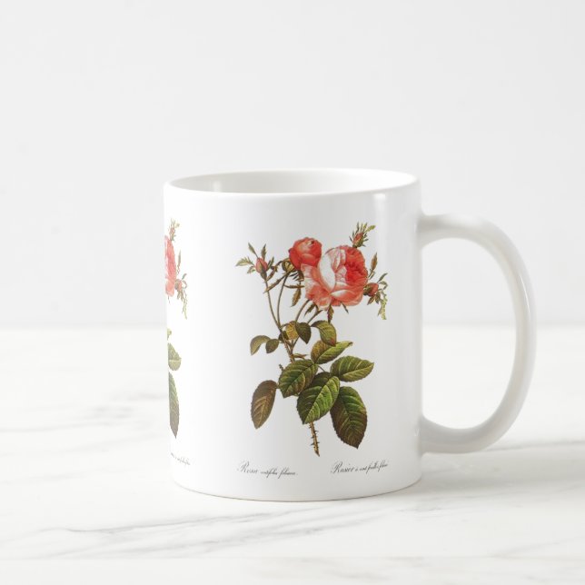 Caneca De Café Rosa Centifolia Foliacea (Direita)