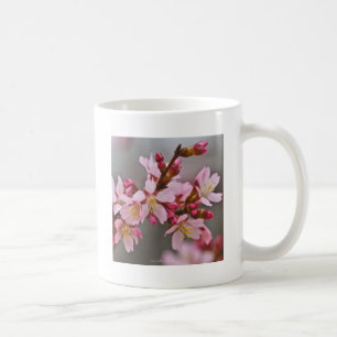 Caneca De Café Rosa Contra Uma Cinza Céu Japonês Blossomas De Cer