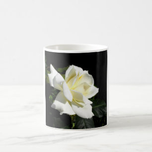 Caneca De Café Rosa de chá híbrido branco Pascali