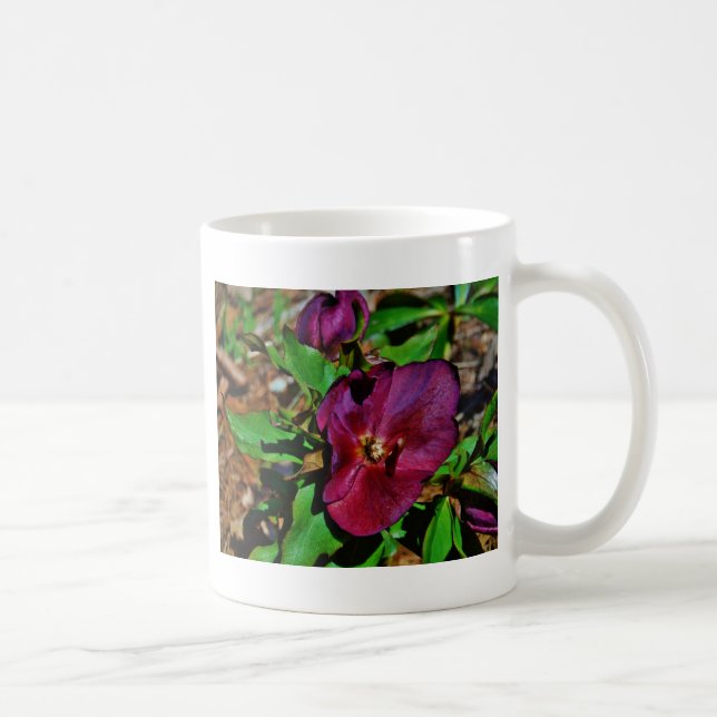 Caneca De Café Rosa de Lenten Rosa Burgundy (Direita)