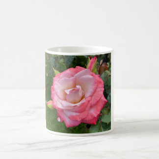 Caneca De Café Rosa nº 3 Mug