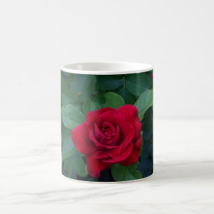 Caneca De Café Rosa Vermelha de Perto