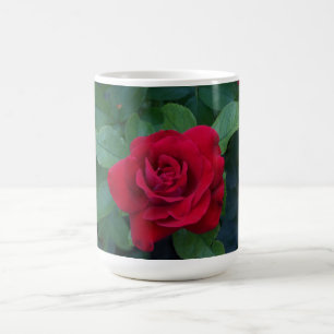 Caneca De Café Rosa vermelha para fechar